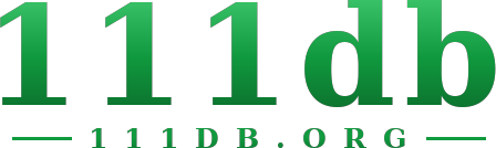 111db logo